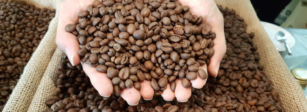 Matas De Rondonia 3 1024x374