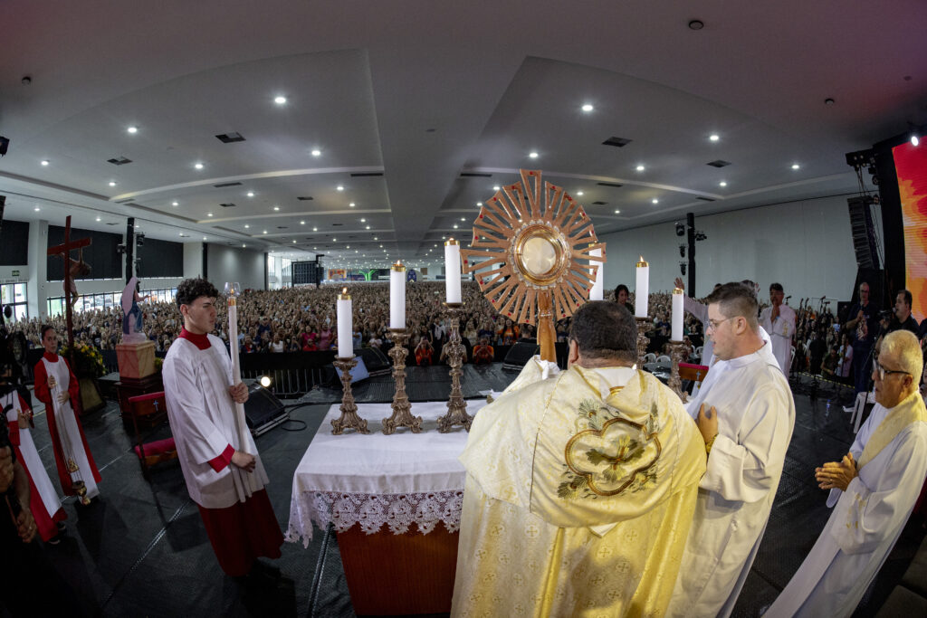 Editadaas 71 1024x683