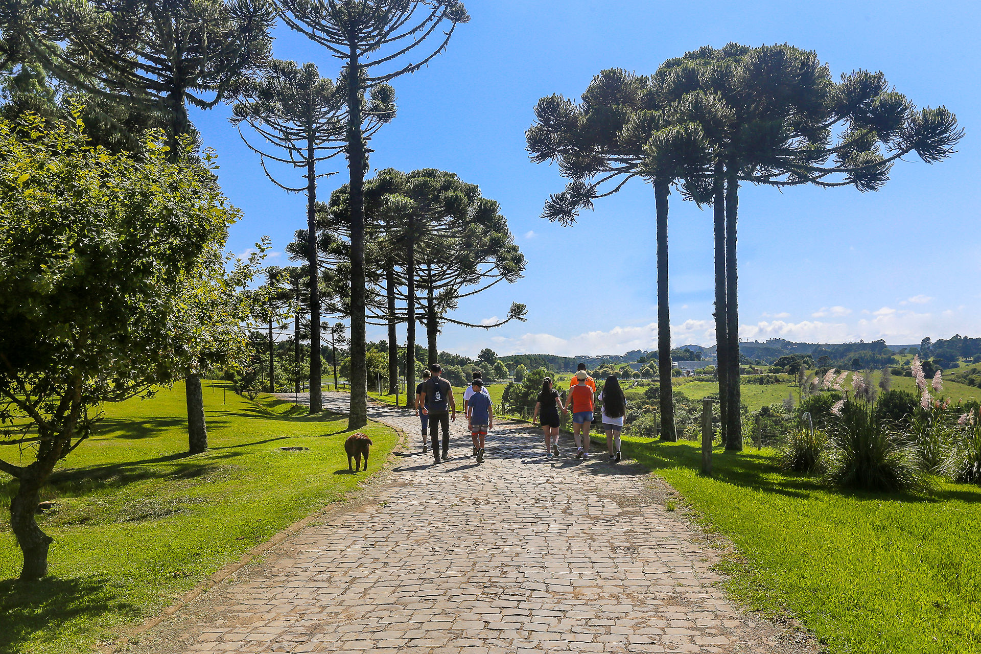 Turismo de natureza ganha força na Serra Catarinense durante a primavera