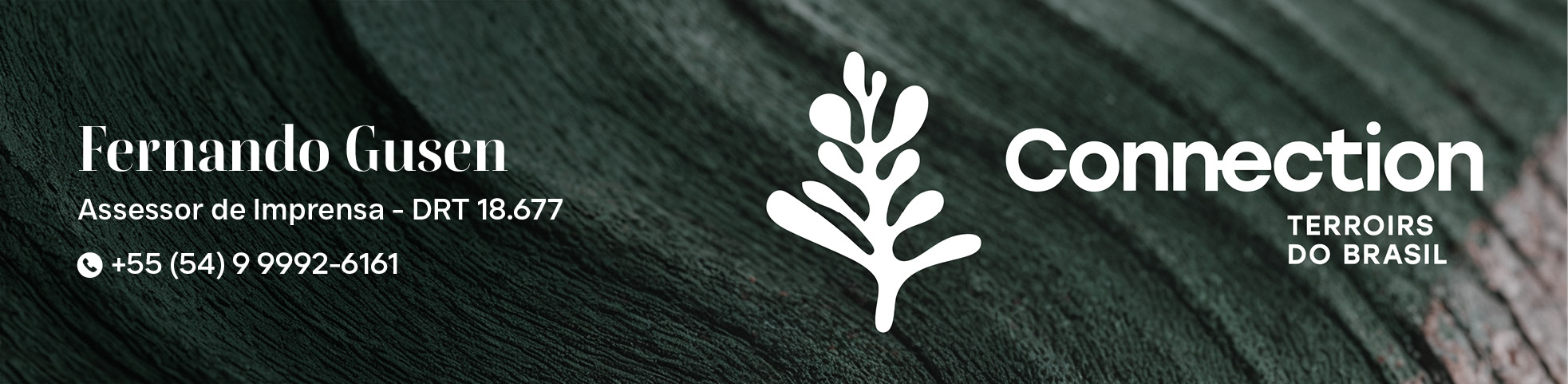 No Dia Mundial do Café, Connection Terroirs do Brasil destaca a excelência dos cafés com Indicação Geográfica