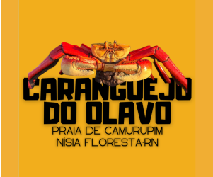 caranguejo do olavo