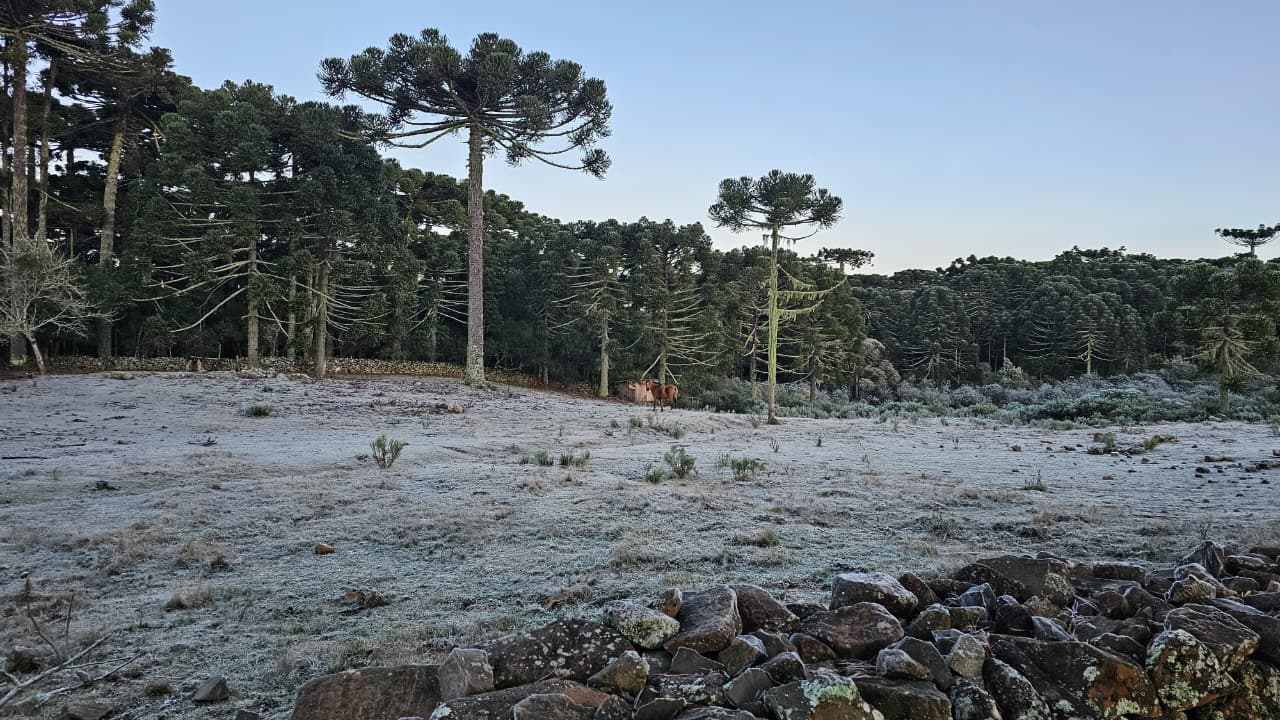 inverno da serra catarinense (3)