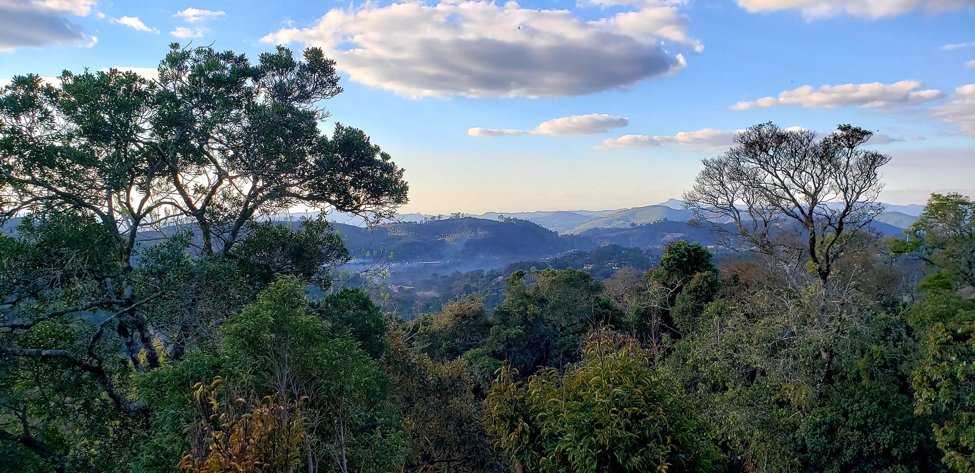 monte verde eliria buso 2