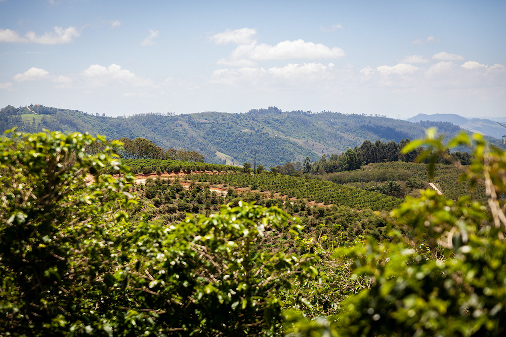 passeio rural 2