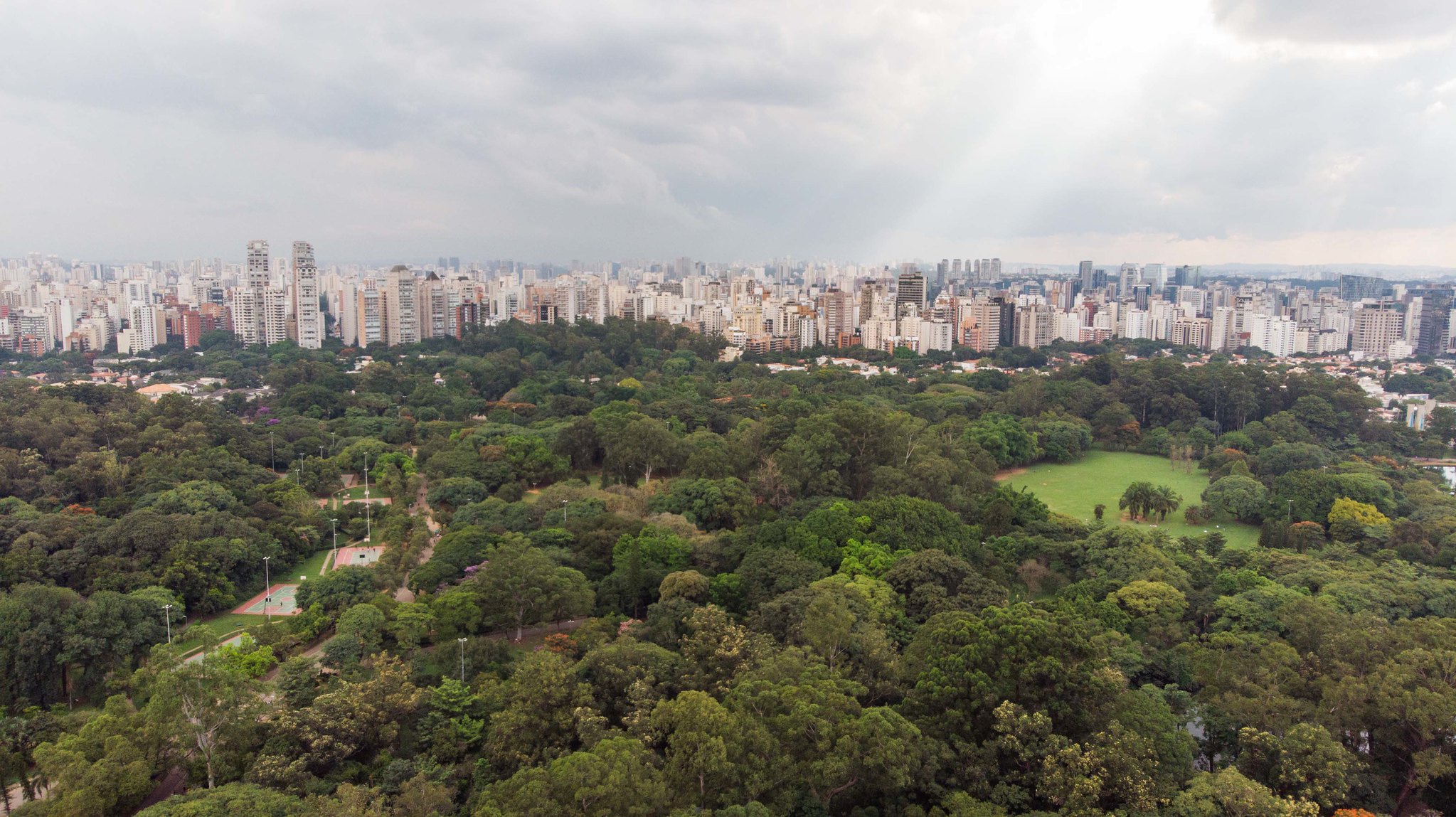 Seis atrações e três hotéis para aproveitar o Dia dos Pais na capital paulista