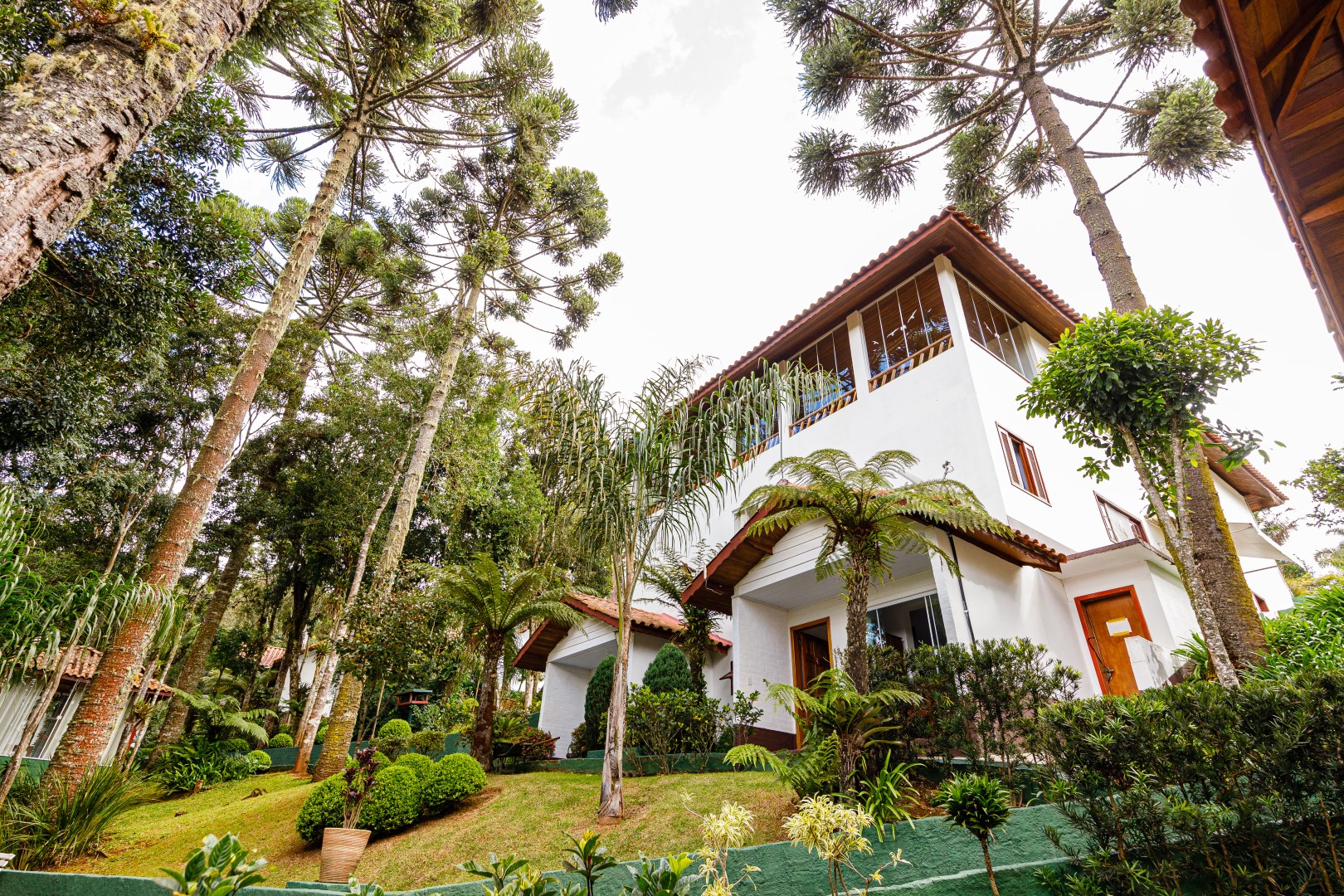 Natureza, gastronomia e clima de montanha fazem de Monte Verde um destino completo
